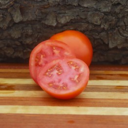 Pink Oxheart Tomato