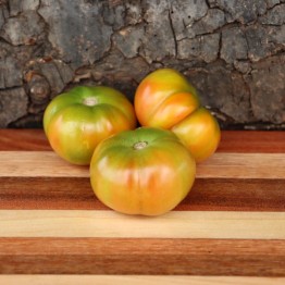 Plana de Penjar Tomato