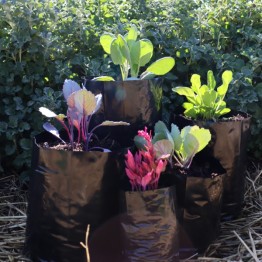 25 Planting Bags 2.25L (Size #4)
