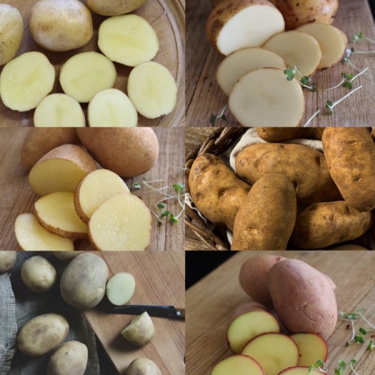 Seed Potato Hampers