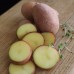 Seed Potato Hampers