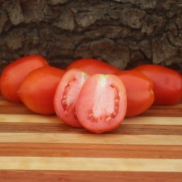 Royal Chico Tomato