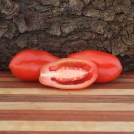 San Marzano Tomato (Indeterminate)