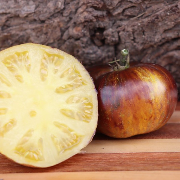 Sart Roloise Tomato