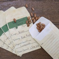 Seed Saving Envelopes 10's