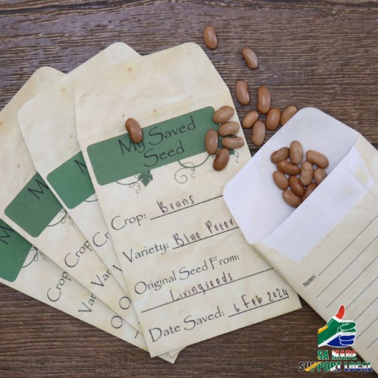 Seed Saving Envelopes 50's