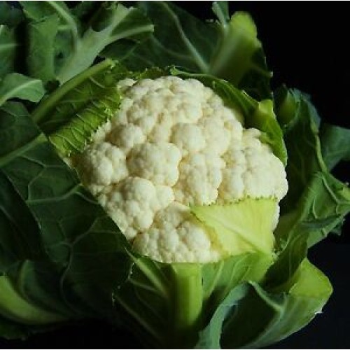 Extra Early Snowball Cauliflower Vegetable Seeds