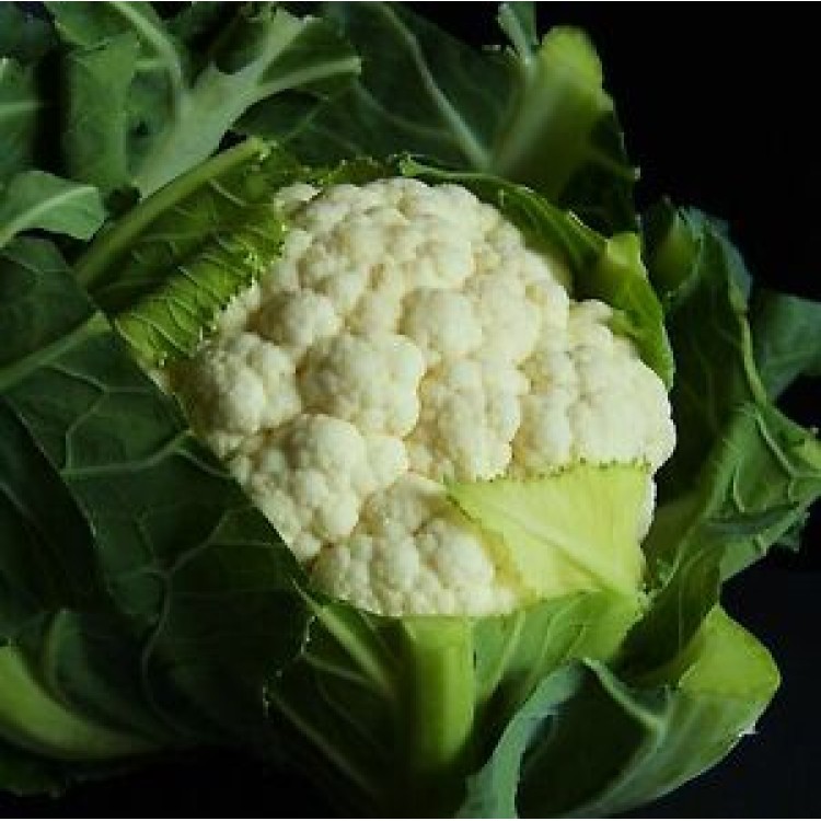 Extra Early Snowball Cauliflower