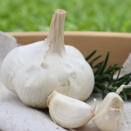 Heirloom Garlic Spanish White