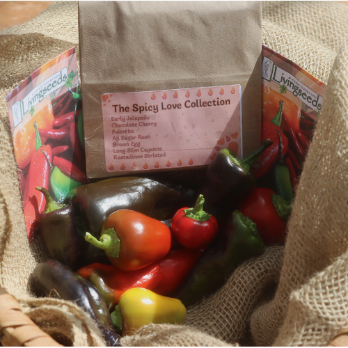 The Spicy Love Collection Seed Collections