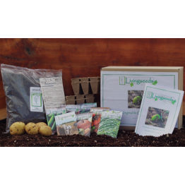 Vegetable Starter Kit (Spring - Summer) January