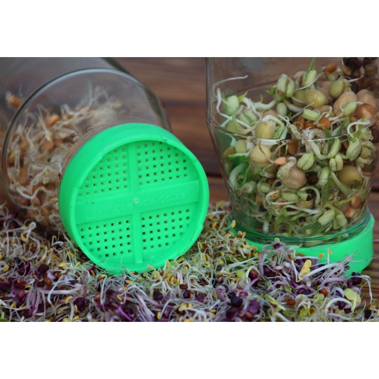 Sprouting System (Twin Pack) Sprout & Microgreen Seed