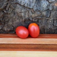 Stunner Red Tomato