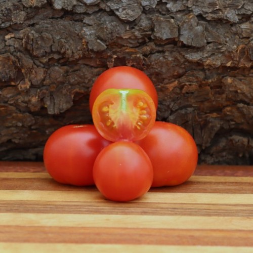 Stupice Tomato