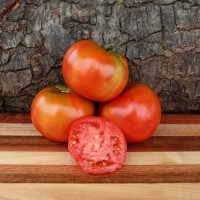 Summer's Blush Tomato