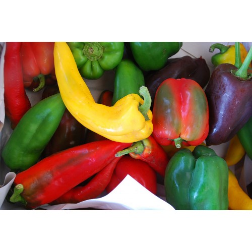 The Sweet Pepper Series Seed Collections