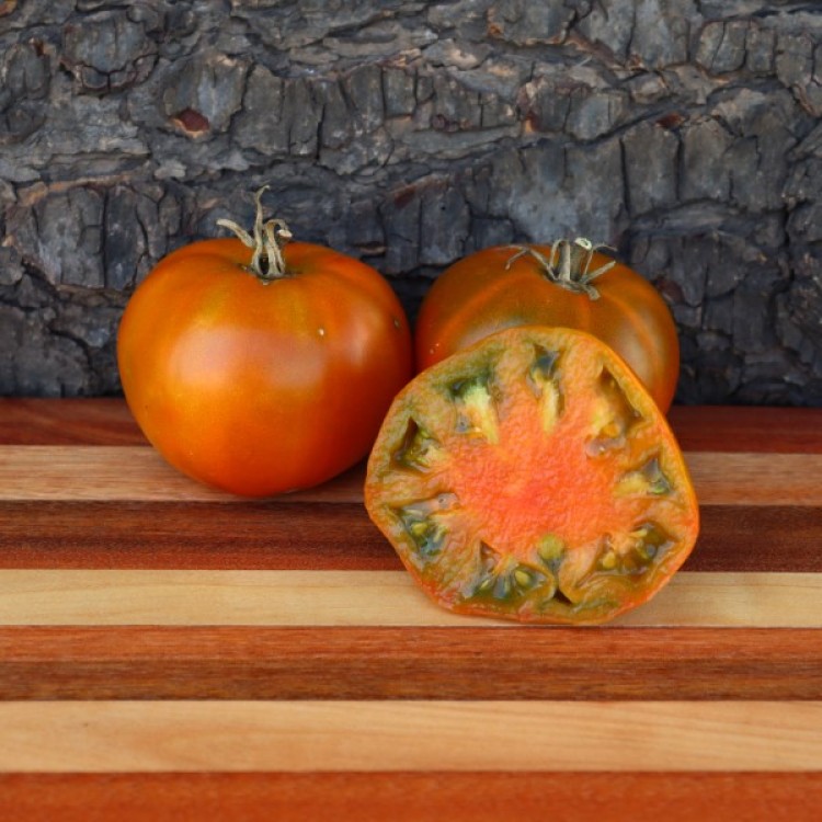 Thorburn's Terracotta Tomato