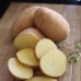 Seed Potato Hampers