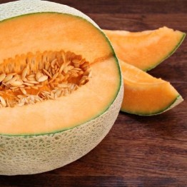 Topmark Melon