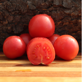 Trumfera Balaguer Tomato