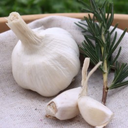 Heirloom Garlic Tuscan