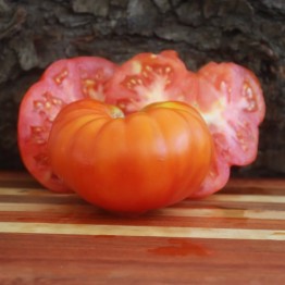 Ultimate Giant Tomato