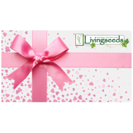 R200 Gift Voucher