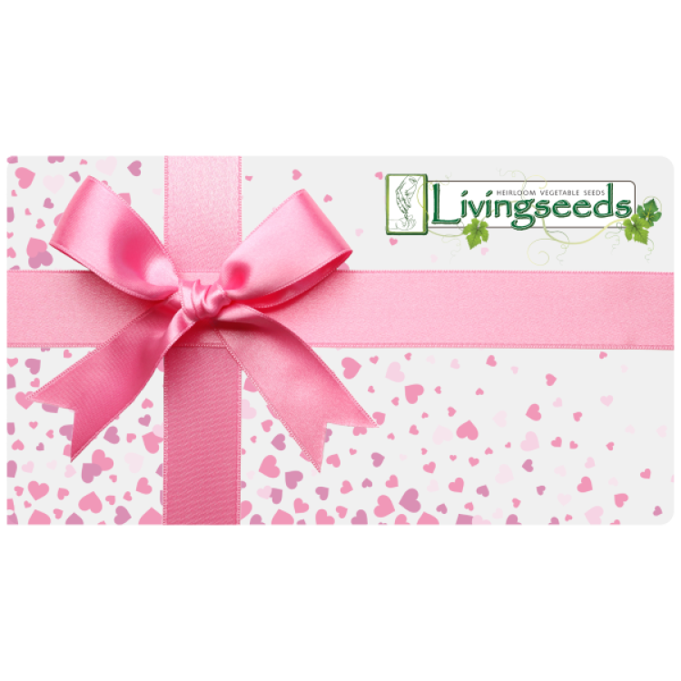 R200 Gift Voucher