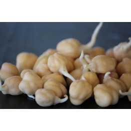 White Chickpeas 200 gr Sprout & Microgreen Seed