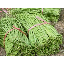Yard Long or Green Noodle Vegetable Seeds