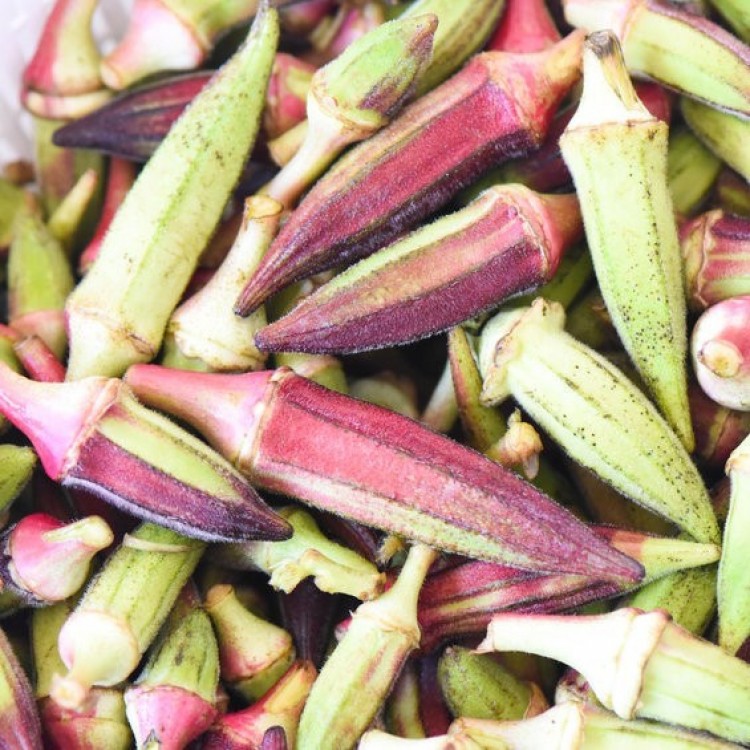 Alabama Red Okra