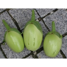 Applegreen Eggplant