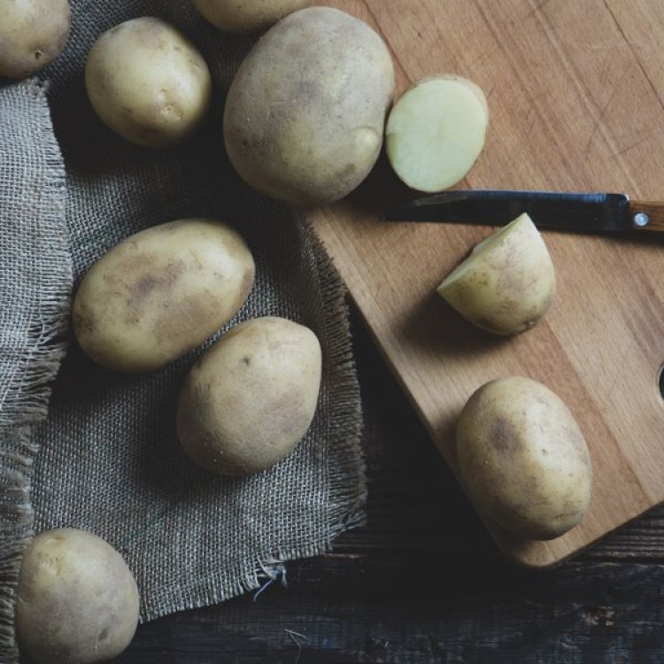 Avalanche Seed Potatoes