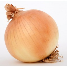 Caprico Onion