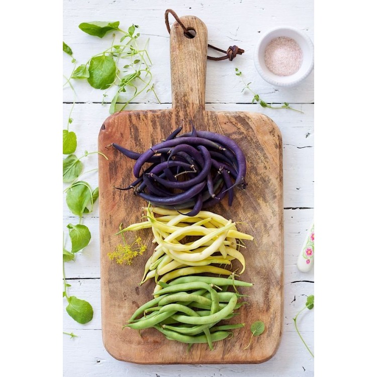 Colourful Rainbow Bean Collection - Petite