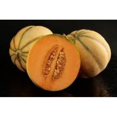 Charentais Melon Vegetable Seeds