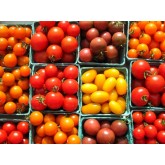Cherry Tomatoes Cherry Tomatoes