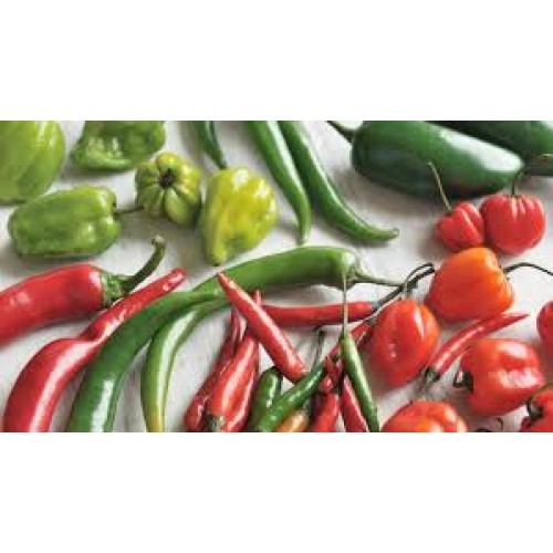 The Chilli Growers Kit