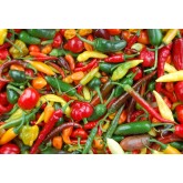 Mild Peppers Mild Peppers
