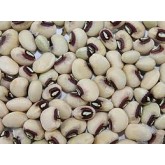 Cowpeas Cowpeas