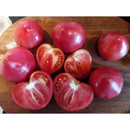 Dwarf Pink Passion Tomato