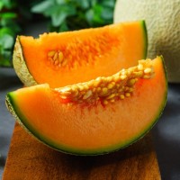 Edisto 47 Melon Melons