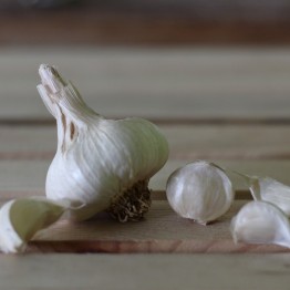 White Elephant Toes Garlic Garlic