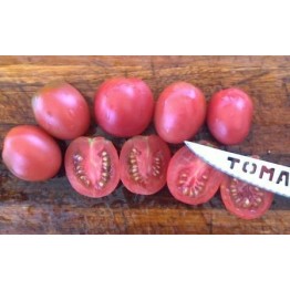Filipino Tomato 