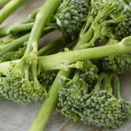 Green Sprouting Broccoli