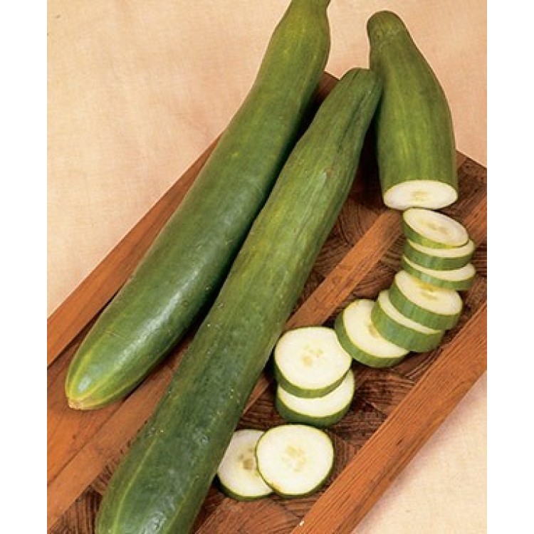 Japanese Long Cucumber Vegetable Seeds