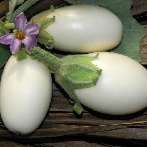 Japanese White Egg Vegetable Seeds