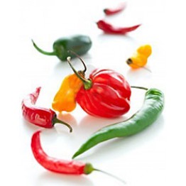 The Mild Chilli Pepper Range Seed Collections