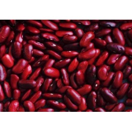 Pakistan Maroon Beans