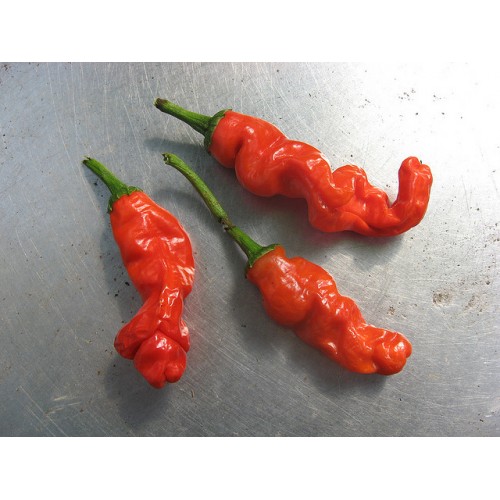 Red Peter Peppers